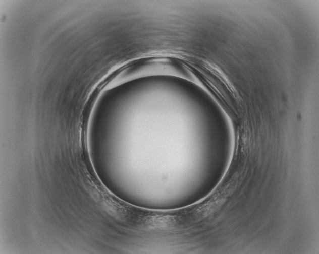 X0000086781268200704131205