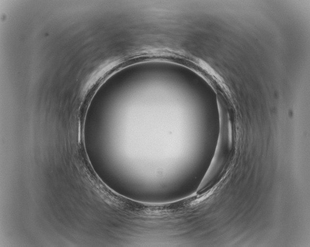 X0000086781269200704131205