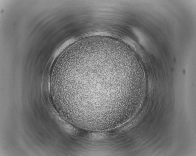 X0000086781274200704131205