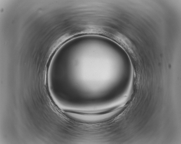 X0000086781276200704131205