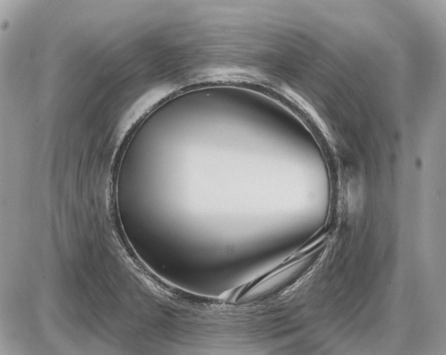 X0000086781277200704131205