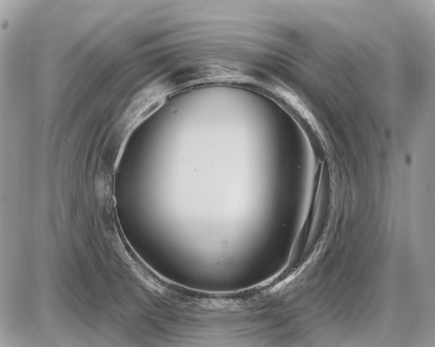 X0000086781281200704131205