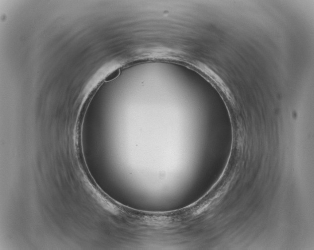 X0000086781285200704131205
