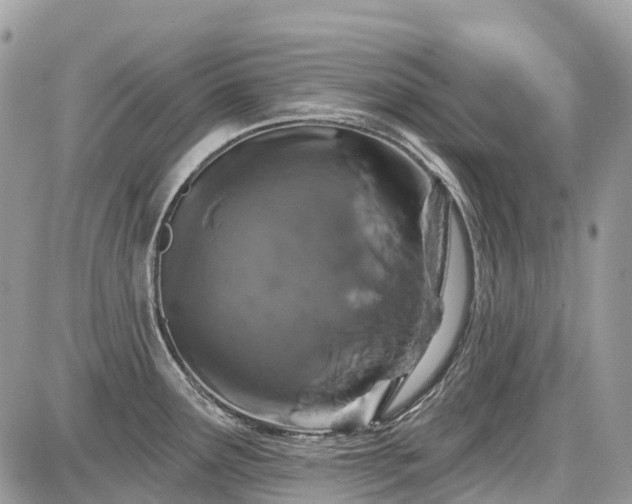 X0000086781291200704131205