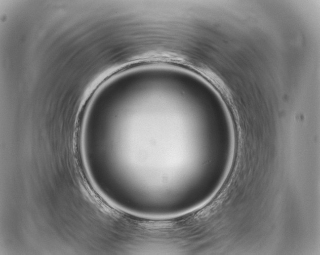 X0000086781296200704131205