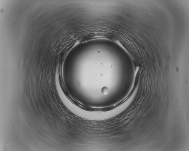 X0000086781298200704131204