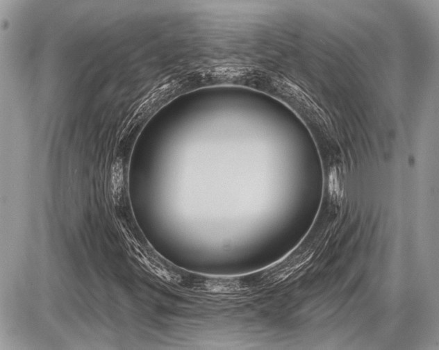X0000086781299200704131204
