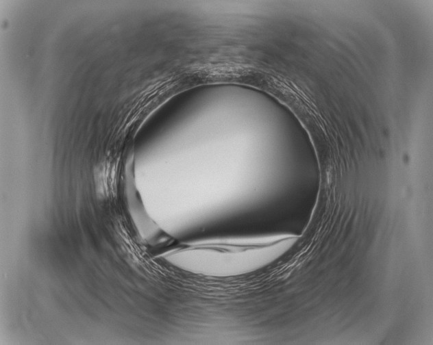 X0000086781300200704131204