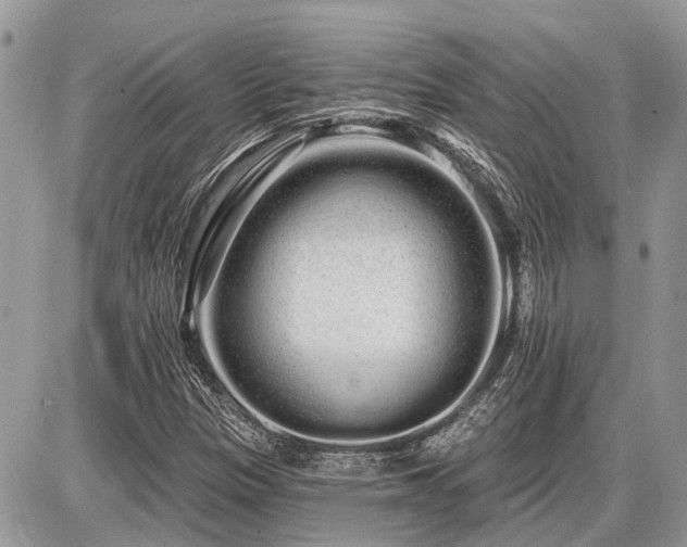 X0000086781305200704131204