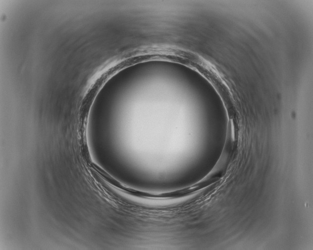 X0000086781312200704131204
