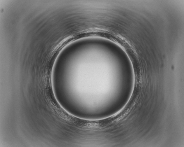 X0000086781313200704131204