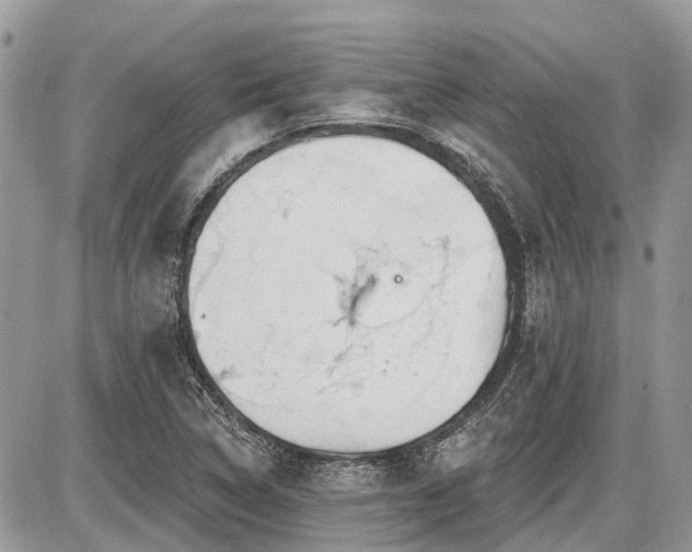 X0000086781314200704131204