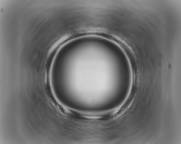 X0000086781317200704131204