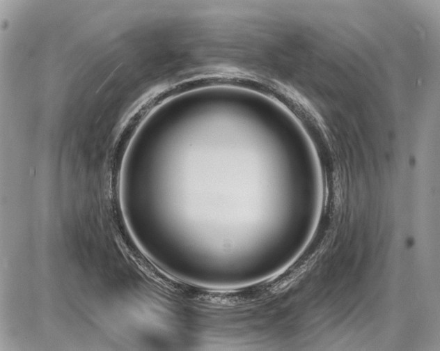 X0000086781318200704131204