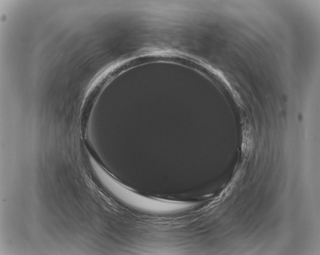 X0000086781319200704131204