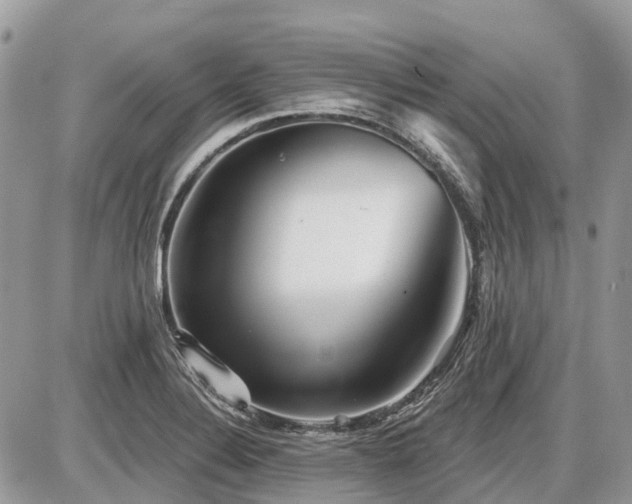 X0000086781324200704131204