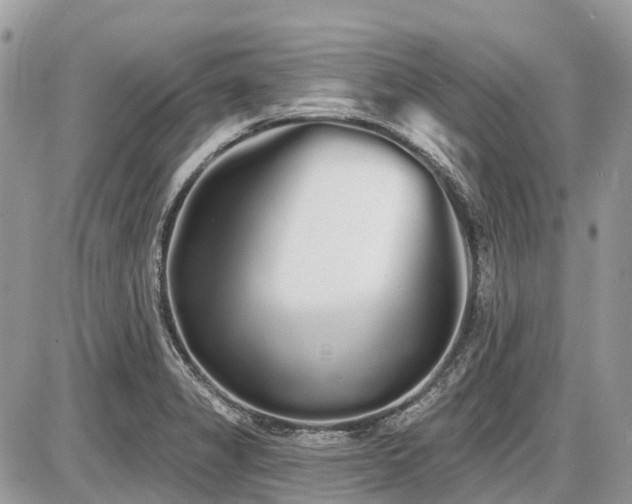 X0000086781325200704131204