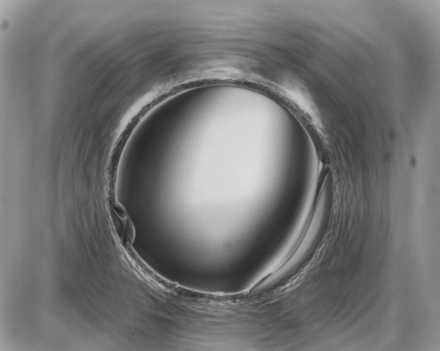 X0000086781326200704131204