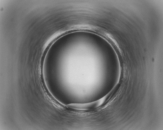X0000086781328200704131204