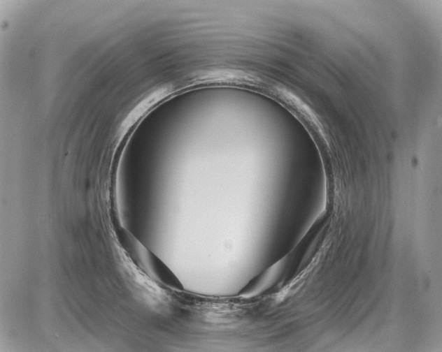 X0000086781330200704131204