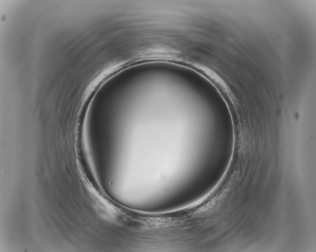 X0000086781333200704131204