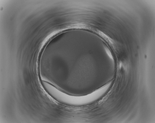 X0000086781334200704131204
