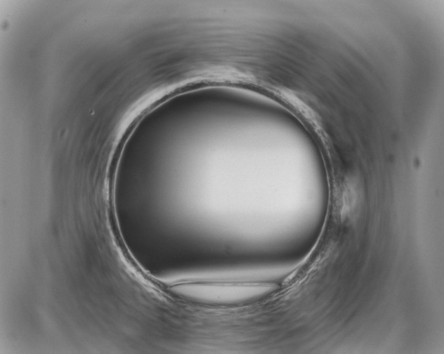 X0000086781335200704131204
