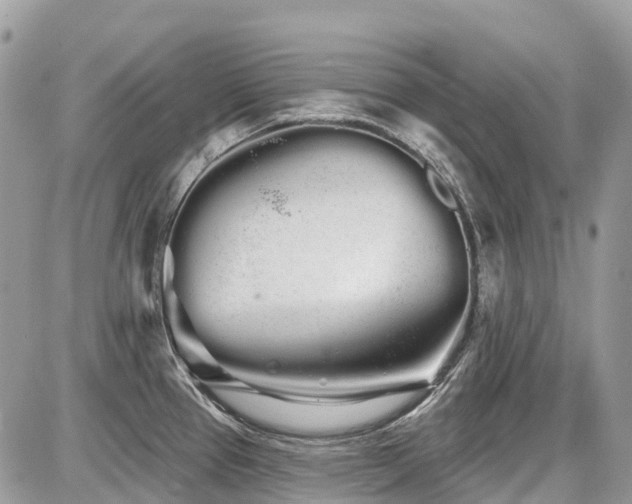 X0000086781337200704131204