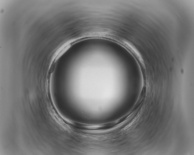 X0000086781340200704131204