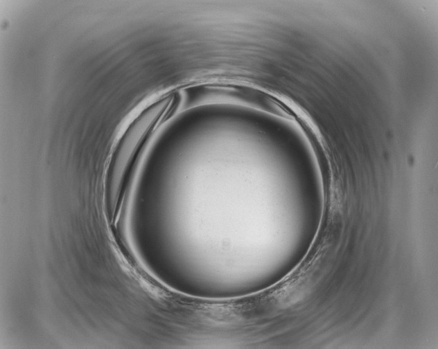 X0000086781341200704131204