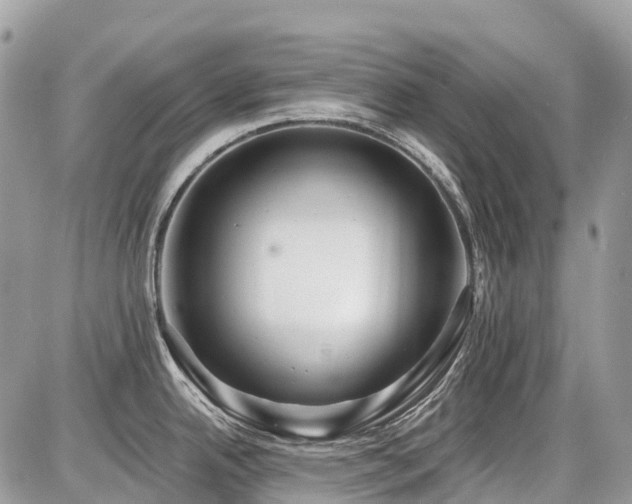 X0000086781342200704131205