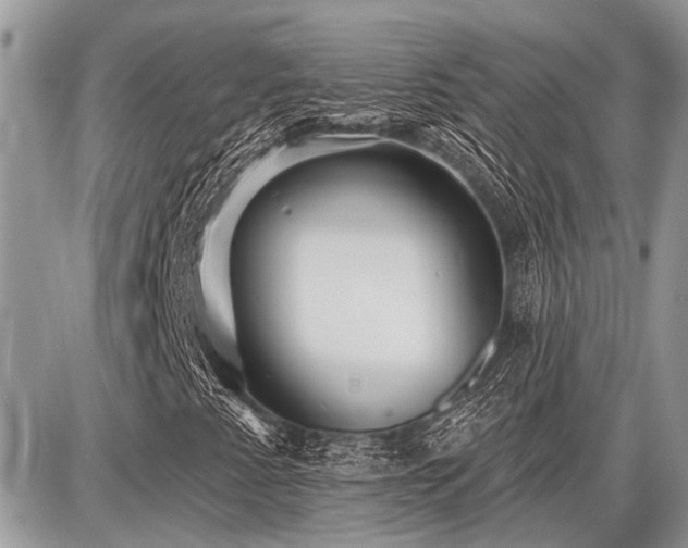 X0000086781345200704131204