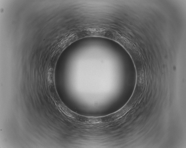 X0000086781346200704131204