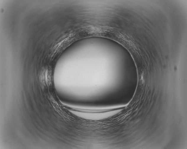 X0000086781348200704131204