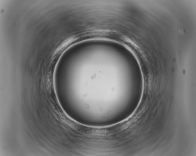 X0000086781354200704131204