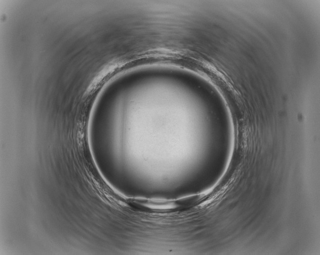 X0000086781355200704131204