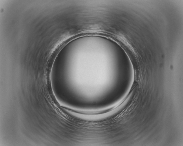 X0000086781356200704131204