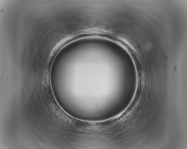 X0000086781358200704131204