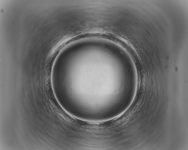 X0000086781359200704131204