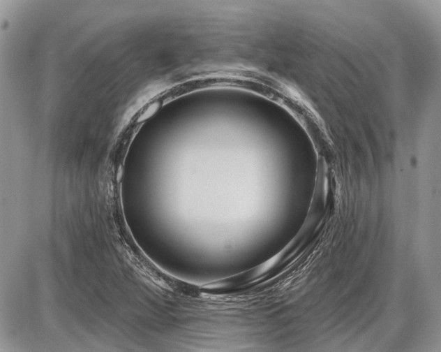 X0000086781360200704131204