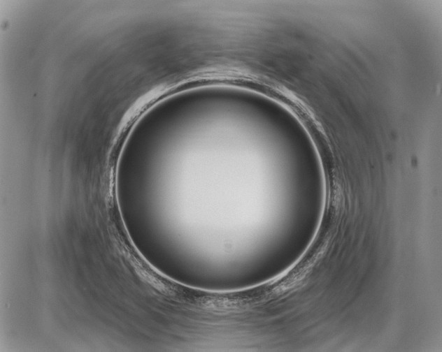 X0000086781366200704131203