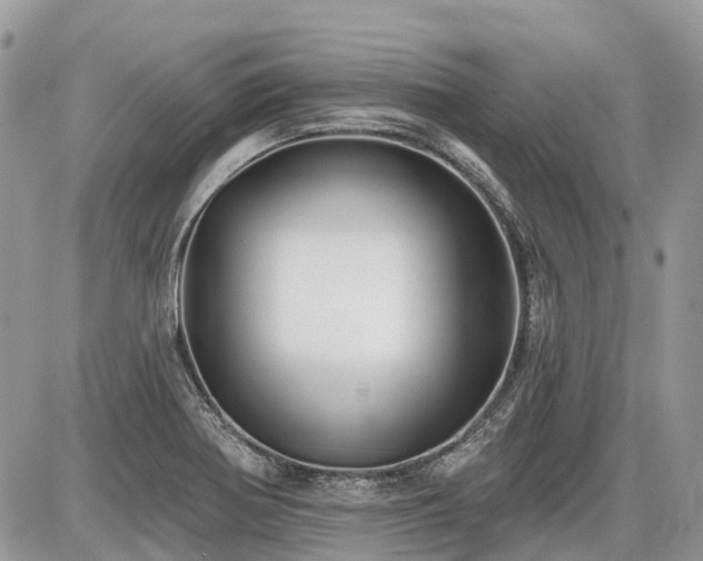 X0000086781370200704131203