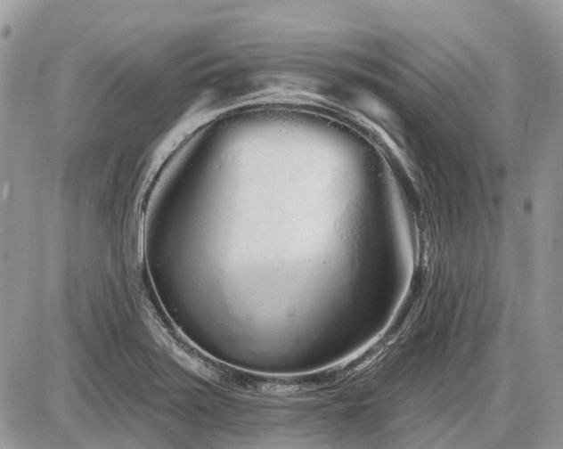 X0000086781371200704131203