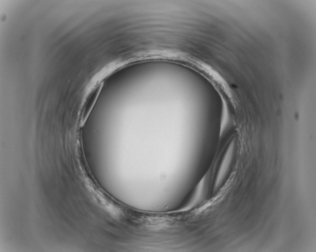 X0000086781373200704131203