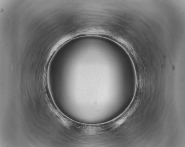 X0000086781374200704131203
