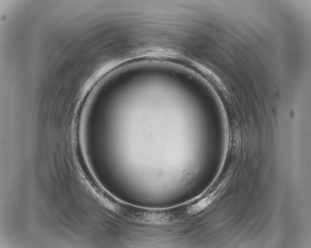 X0000086781375200704131203