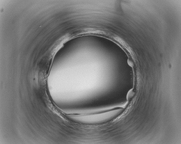 X0000086781377200704131203