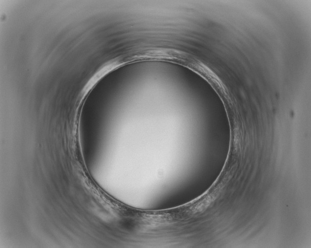 X0000086781378200704131203