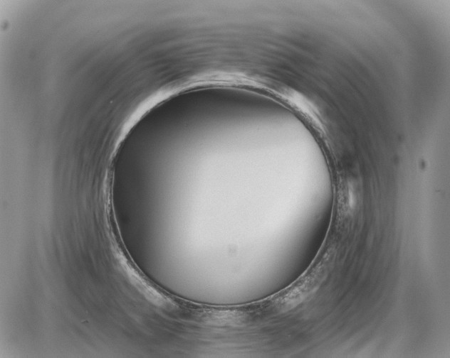 X0000086781382200704131203