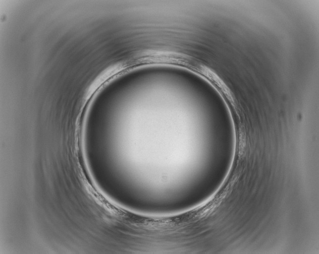 X0000086781386200704131203